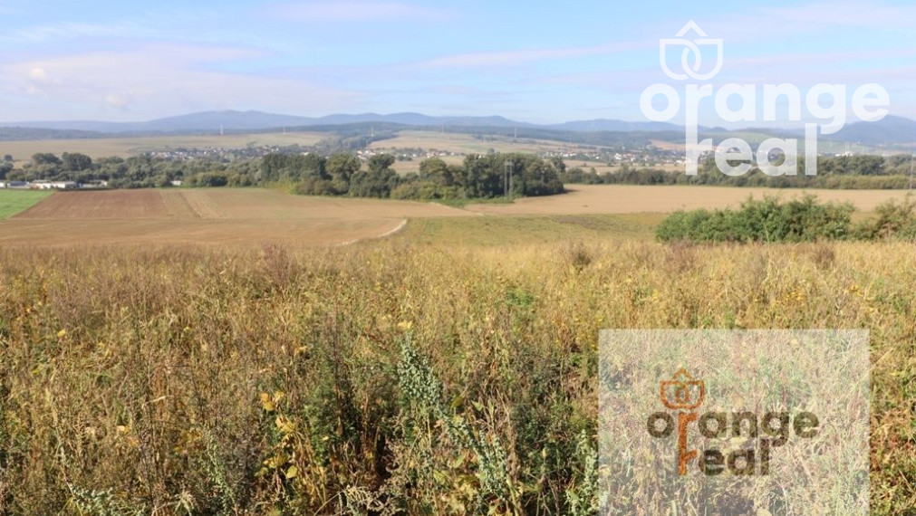 POZEMOK O VÝMERE 5508 m2 - ŠARIŠKÉ BOHDANOVCE