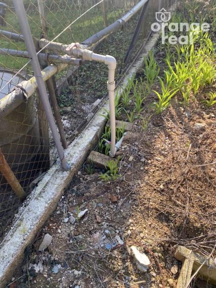 Záhradka s chatkou Šaca - viničky