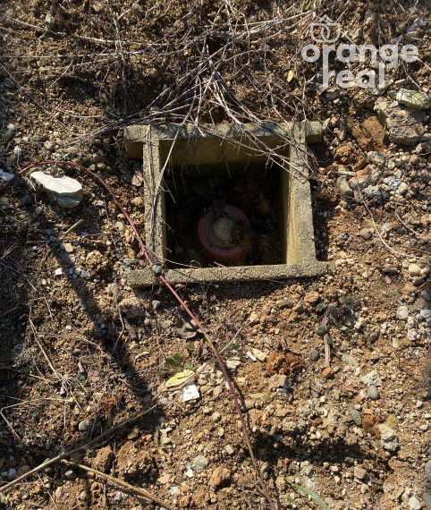 Záhradka s chatkou Šaca - viničky