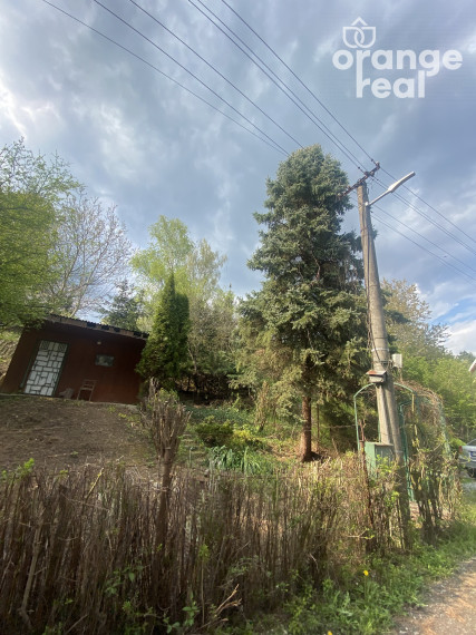 Záhrada iba 10 km od centra Košíc - 760m2