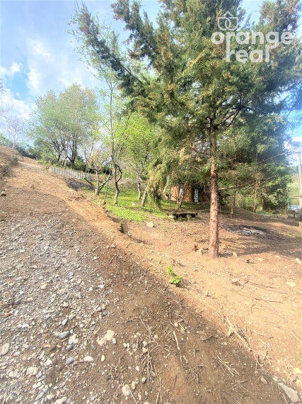 Záhrada iba 10 km od centra Košíc - 760m2