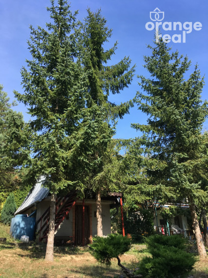 RESERVE Na prenájom záhradka s chatkou Seleška