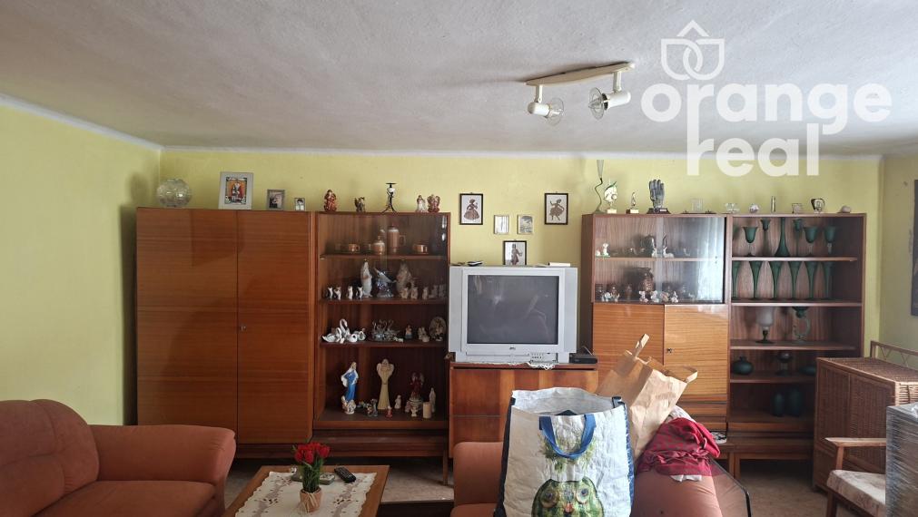 Rodinný dom s veľkým pozemkom v obci Brusnica, neďaleko Domaše