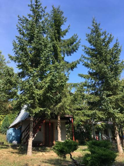 Na prenájom záhradka s chatkou Seleška