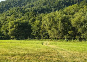 ÚTULNÝ 2 IZBOVÝ DOM 24 Km od KOŠIC - fotografia 16