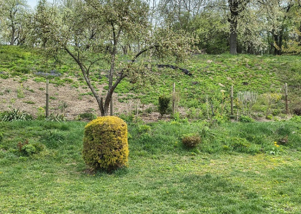 POZEMOK V OBCI NIŽNÁ HUTKA
