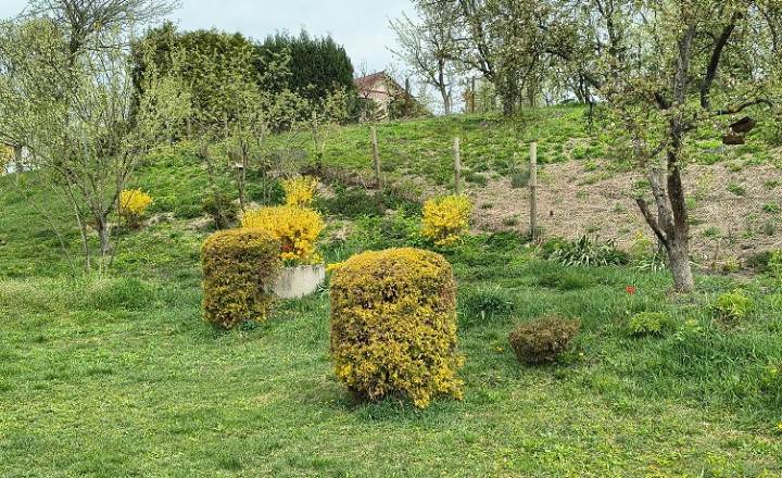 POZEMOK V OBCI NIŽNÁ HUTKA - fotografia 3