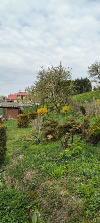 POZEMOK V OBCI NIŽNÁ HUTKA - fotografia 1